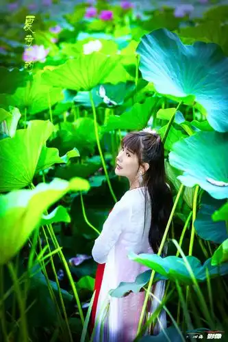 【神都诗社】第125期《夏之韵》(图19)