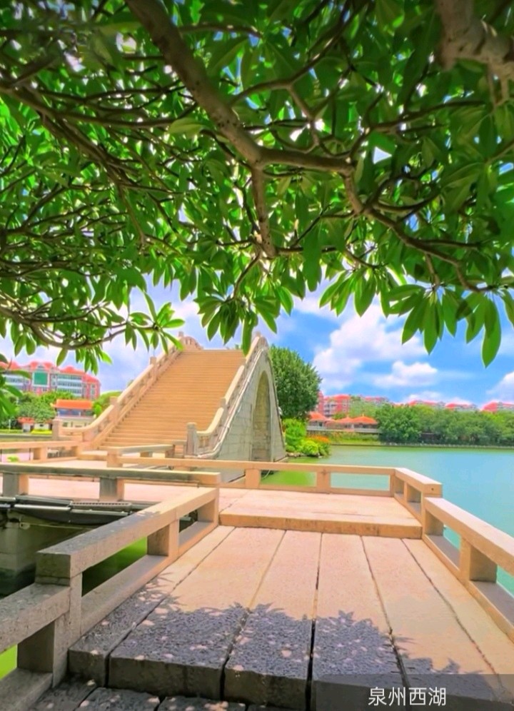 七律-泉州西湖风光（三首）诗◑雅轩琴韵（图23）