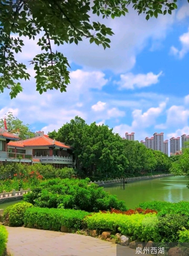 七律-泉州西湖风光（三首）诗◑雅轩琴韵（图26）