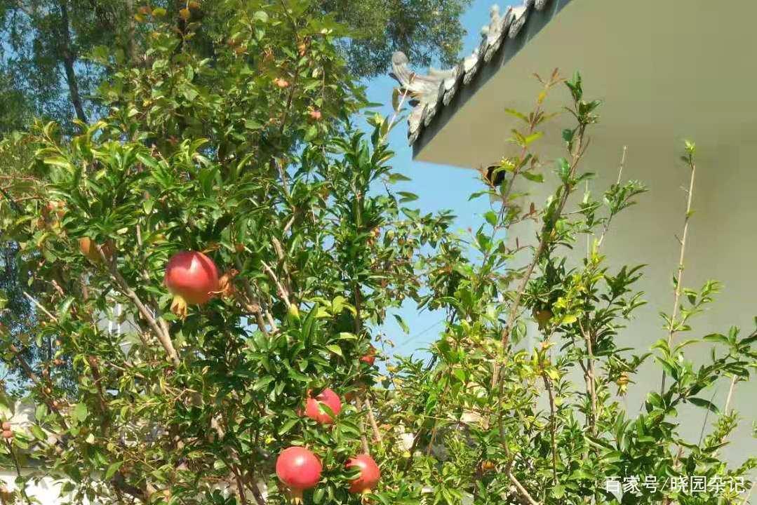 同题诵《流水的心情》 作者：月下草（图8）