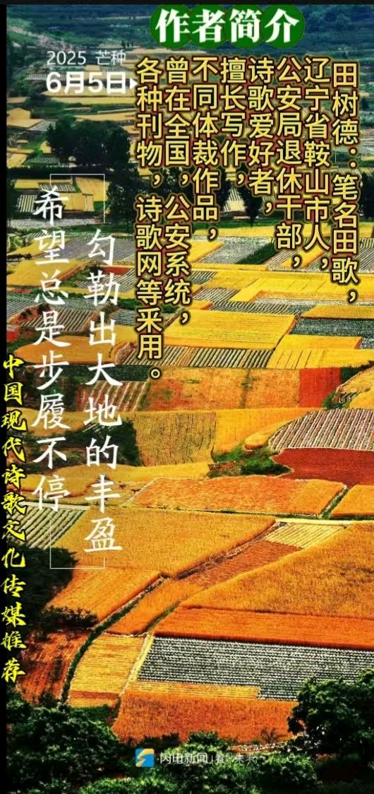 《活好自己》作者：田歌 [中国现代诗歌文化传媒推荐]（图8）