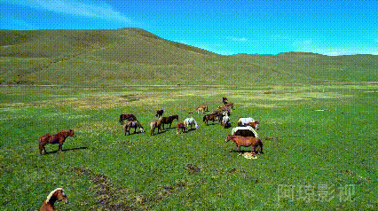 【中国诗人】（名家风采）世界的語言// 文/昊昊（中国臺灣）（图4）