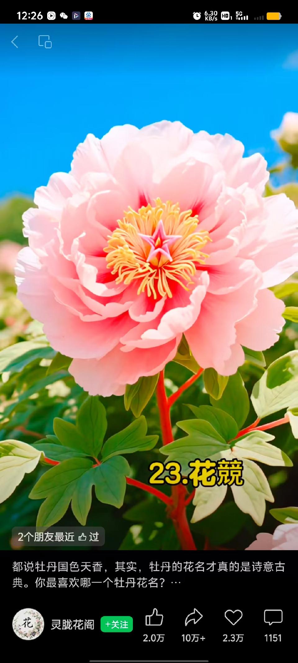 孙述考、王保江文三篇……莲叶之珠文学社(图7)