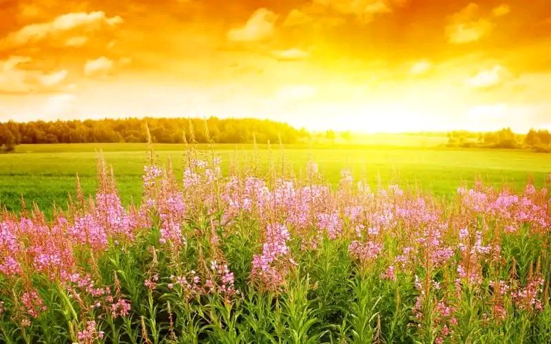 [亚洲诗艺] 1018期（图4）