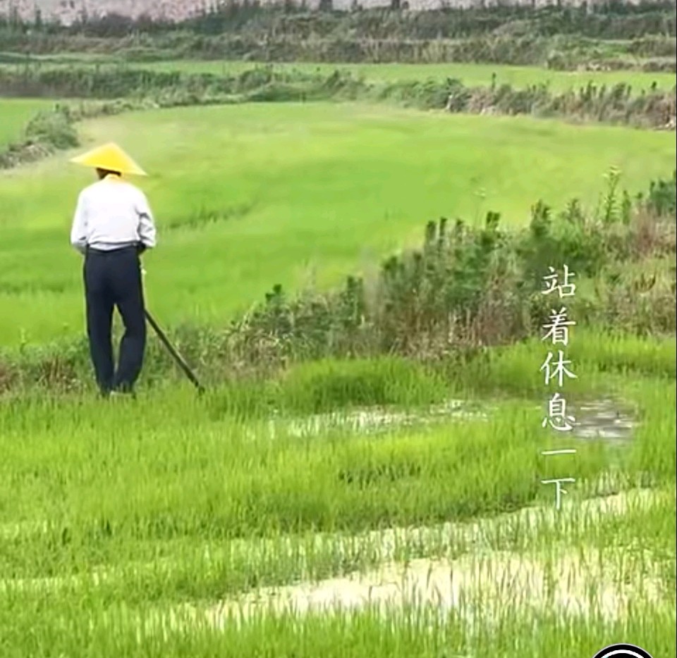 军旅诗人韩春久《父亲的田野》（图2）