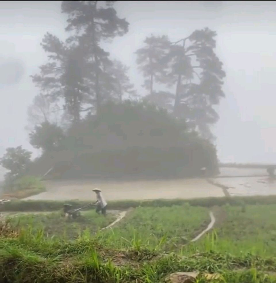 军旅诗人韩春久《父亲的田野》（图3）