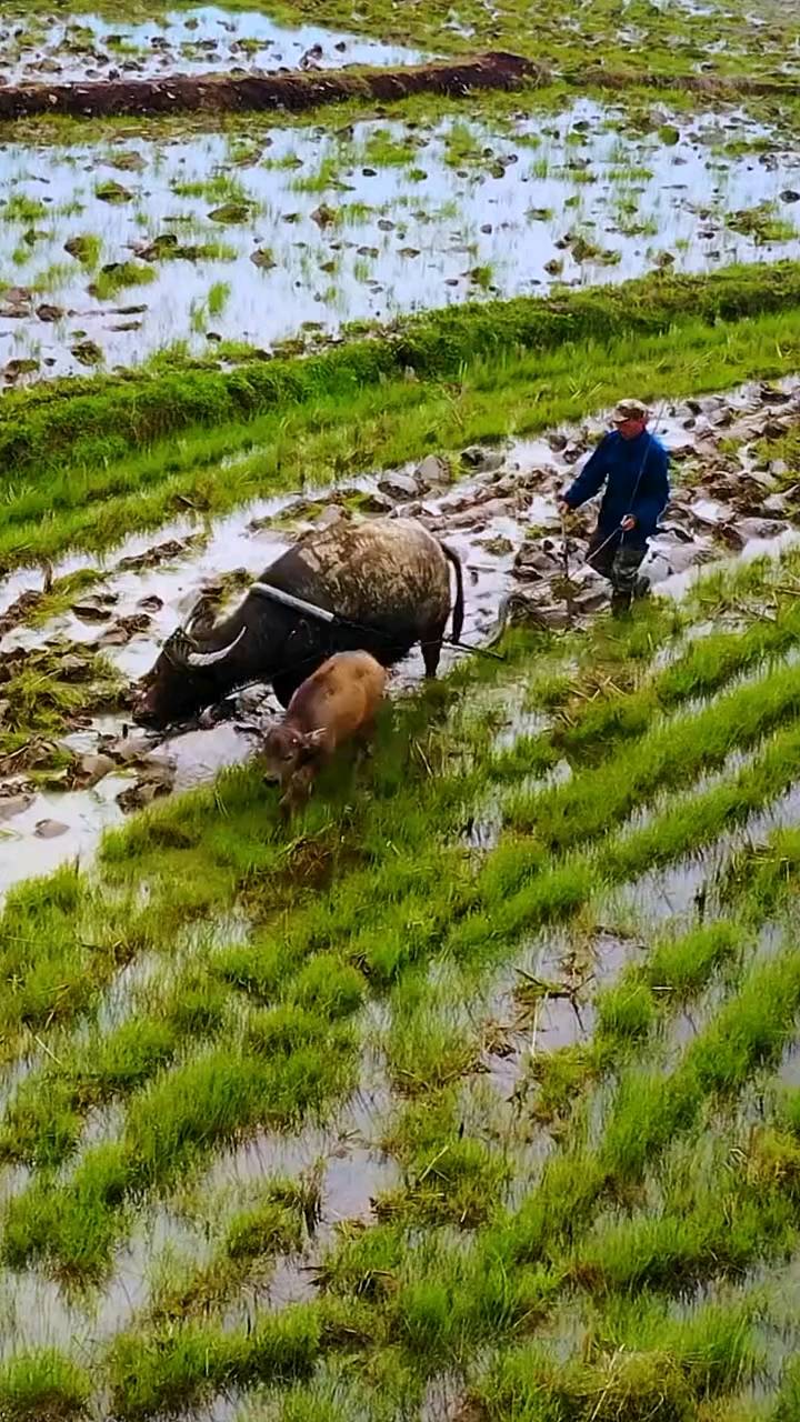 军旅诗人韩春久《父亲的田野》（图7）