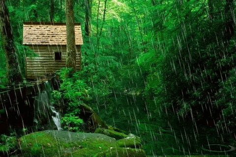 【荣耀中国】喜雨海洋（图2）