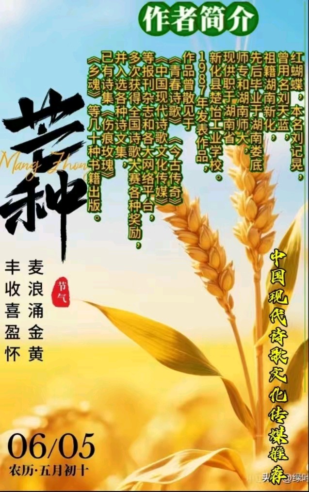 《一场夏雨的来临》作者：红蝴蝶 [中国现代诗歌文化传媒推荐]（图8）