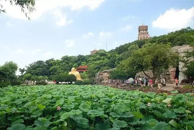 七律·家园夏景（文/韩满林）……莲叶之珠文学社（图5）