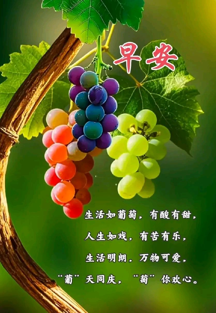 《早安》作者：李炳良 [中国现代诗歌文化传媒推荐]（图6）