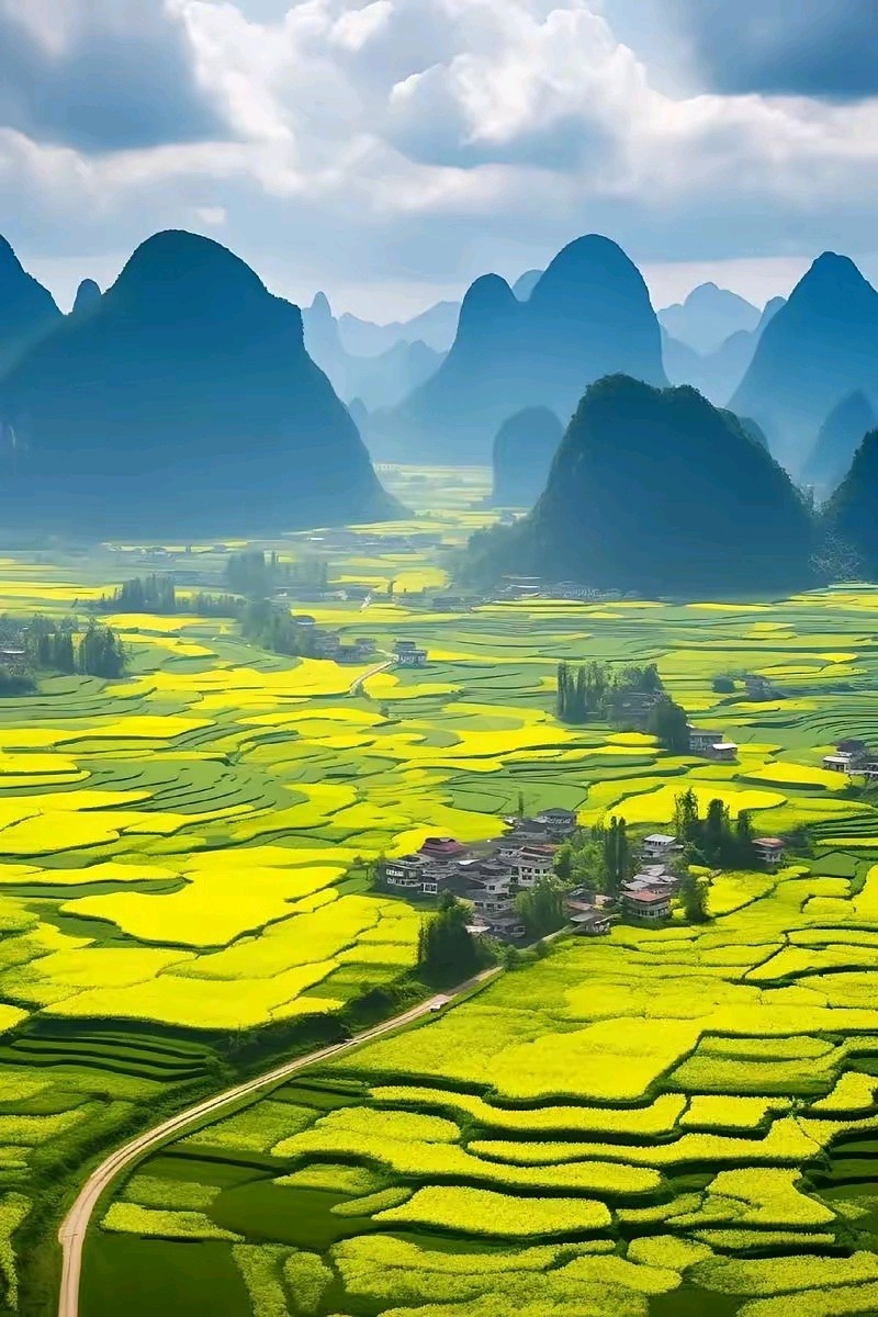 《七律 • 夏荷》外一首/作者/吴云钦（图4）