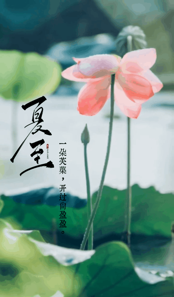 【神都诗社】龙门诗苑第038期《夏至》（图4）