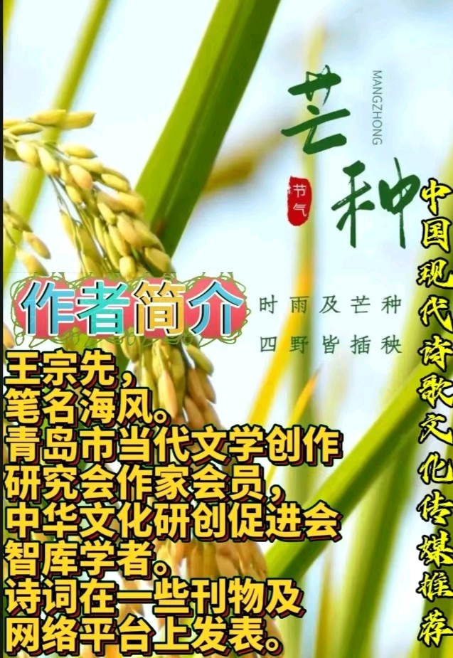《海风现代古诗词牌赏析》作者：海风 [中国现代诗歌文化传媒推荐]（图8）