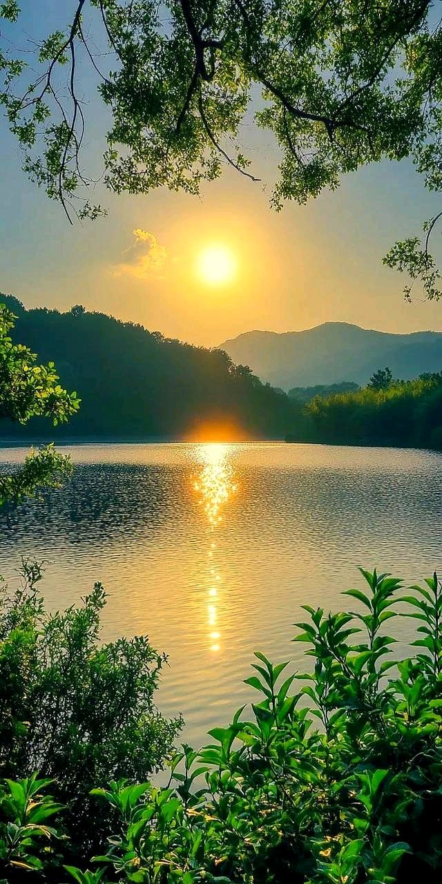 七律-夏至裁影～诗◑杨景儒（图15）
