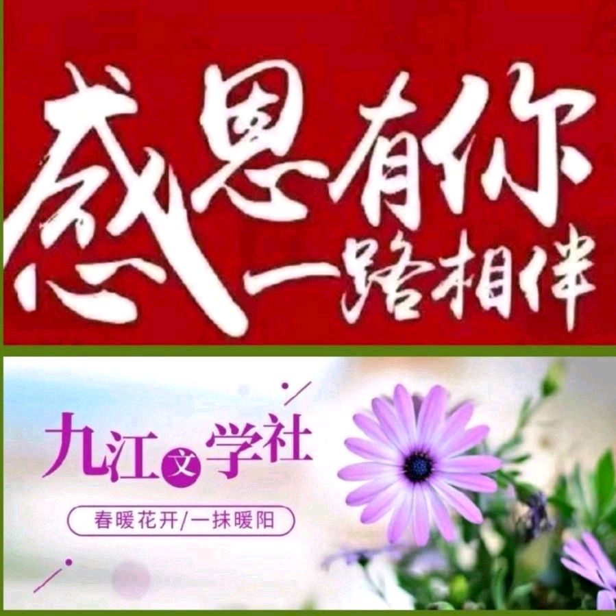作家黄纯斌优秀散文欣赏：深中通道抒怀（图14）