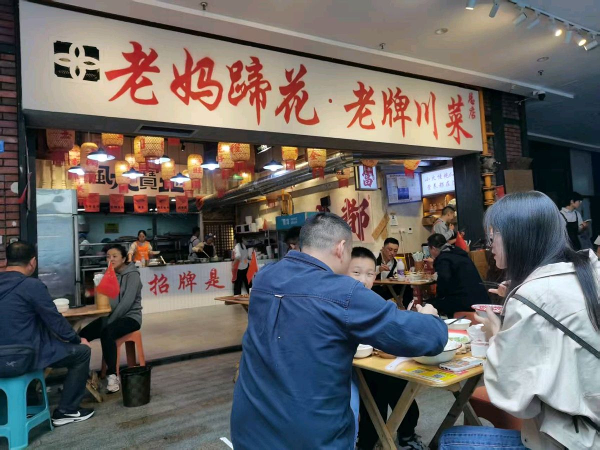 陕西张志民《成都--难忘的记忆》(图19)