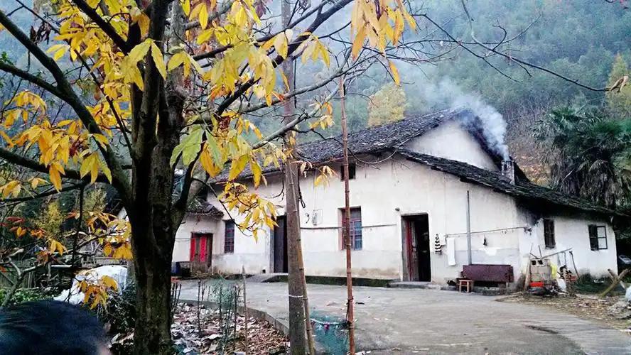 【和阳诗人】失去的炊烟||文/李红进（图3）