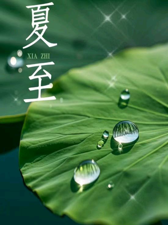 【万里春】夏至有感 作者:冯斌一鄂（图2）