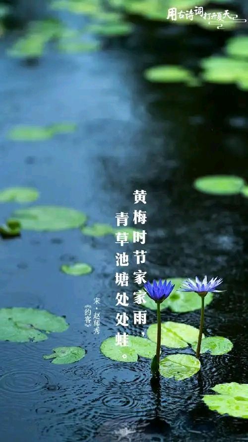 七绝-夏至即韵～诗◑胡斌（桃花园君）（图14）
