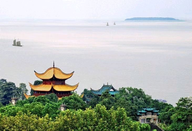 【荣耀中国】七律 为民服务读书人文/南山翁（图2）