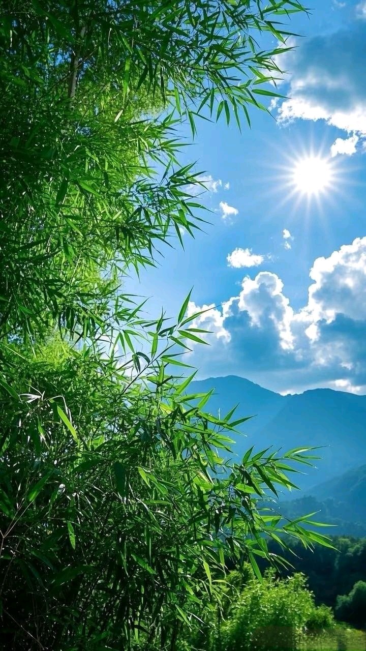 又吟夏至～诗◑吴永良（图11）