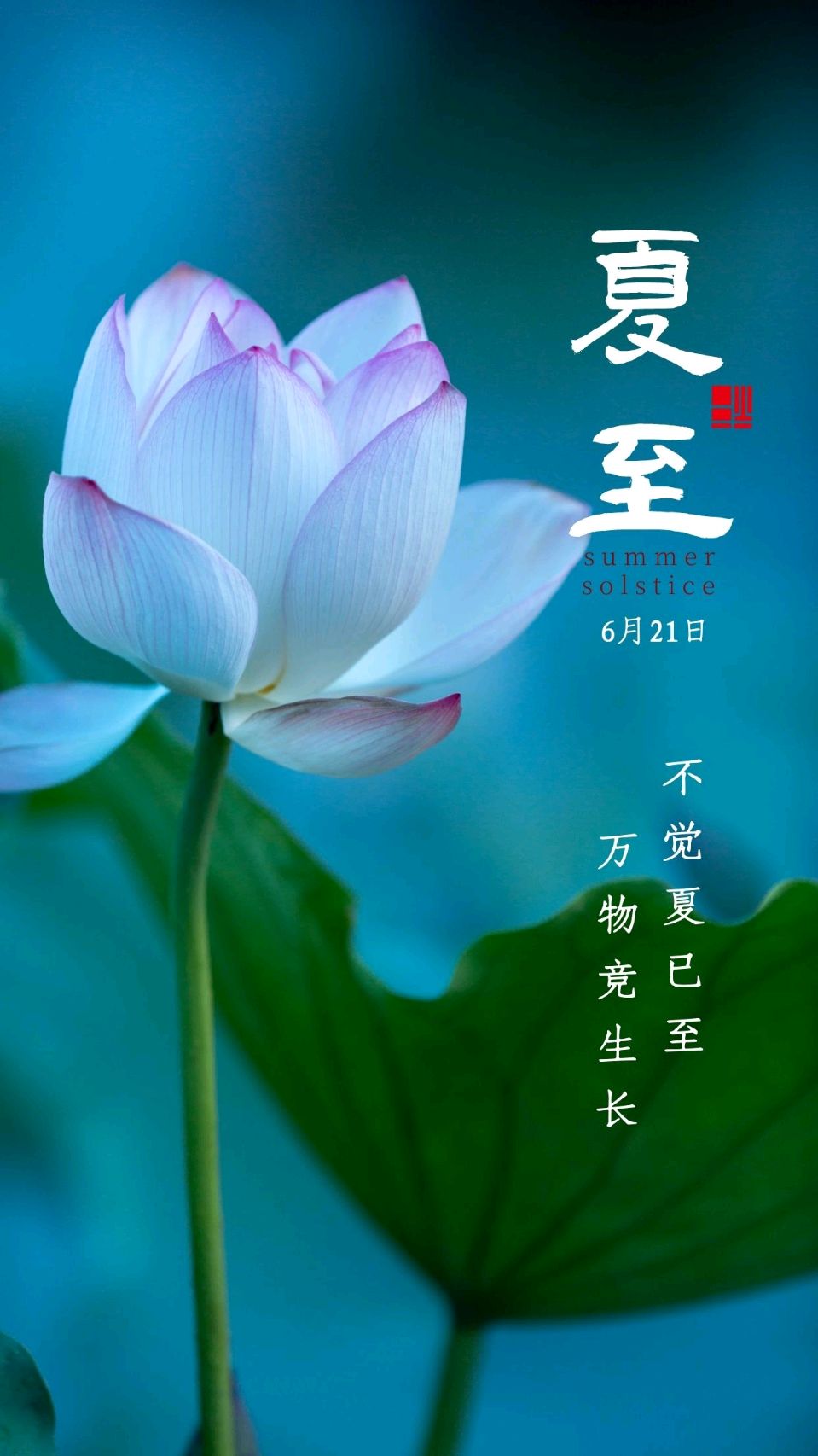 夏至（外一首）诗◑李永康（图10）