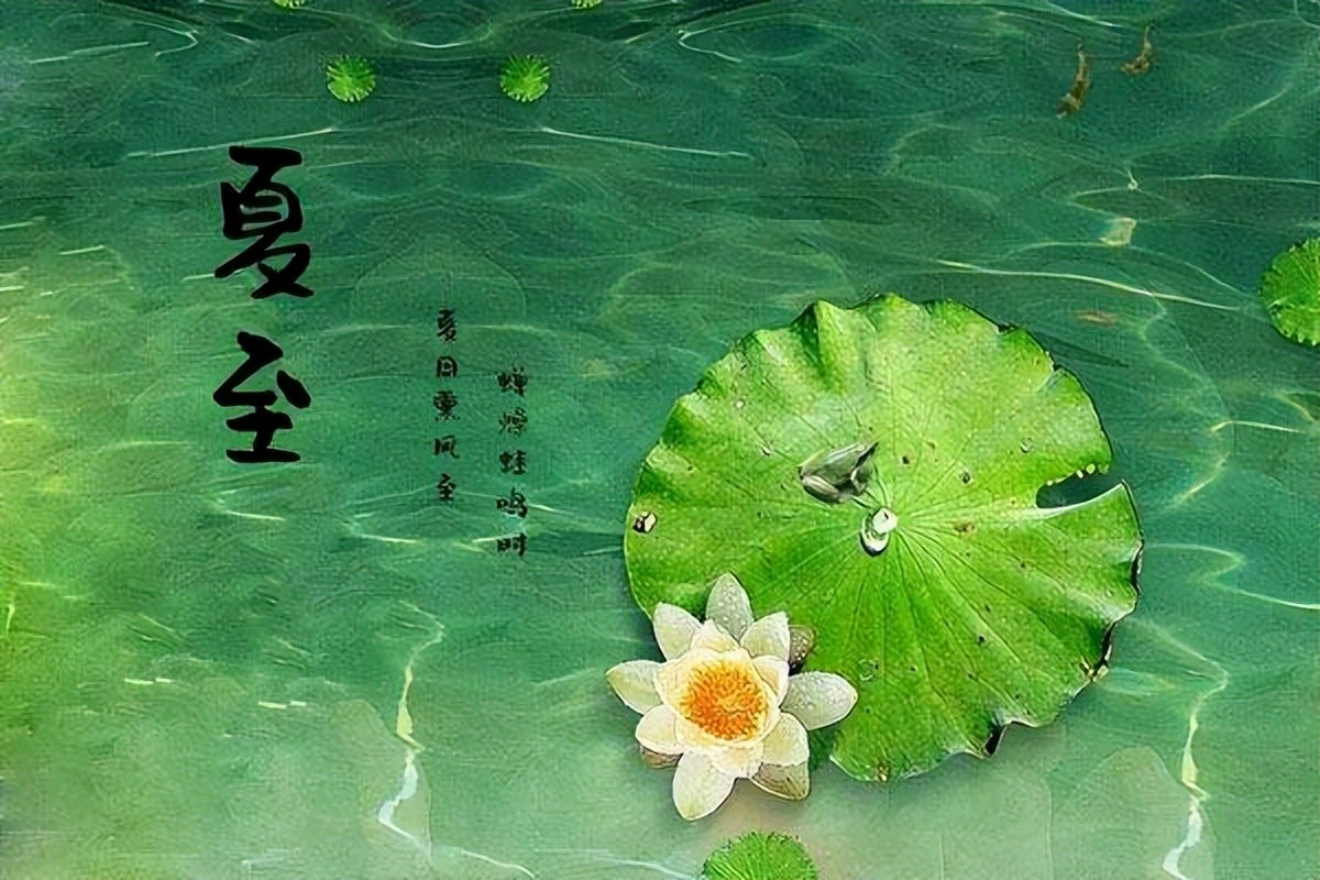【荣耀中国】夏至作者/刘水清（湖北汉川）（图2）