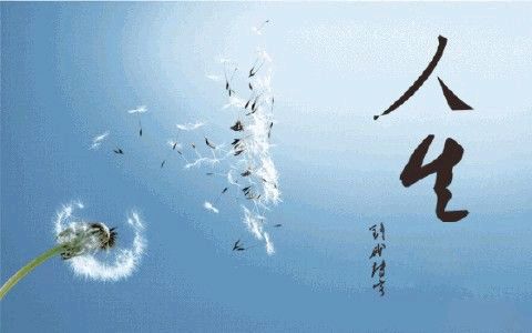 【荣耀中国】自由体《人生》作者Ⅱ高新文（图4）