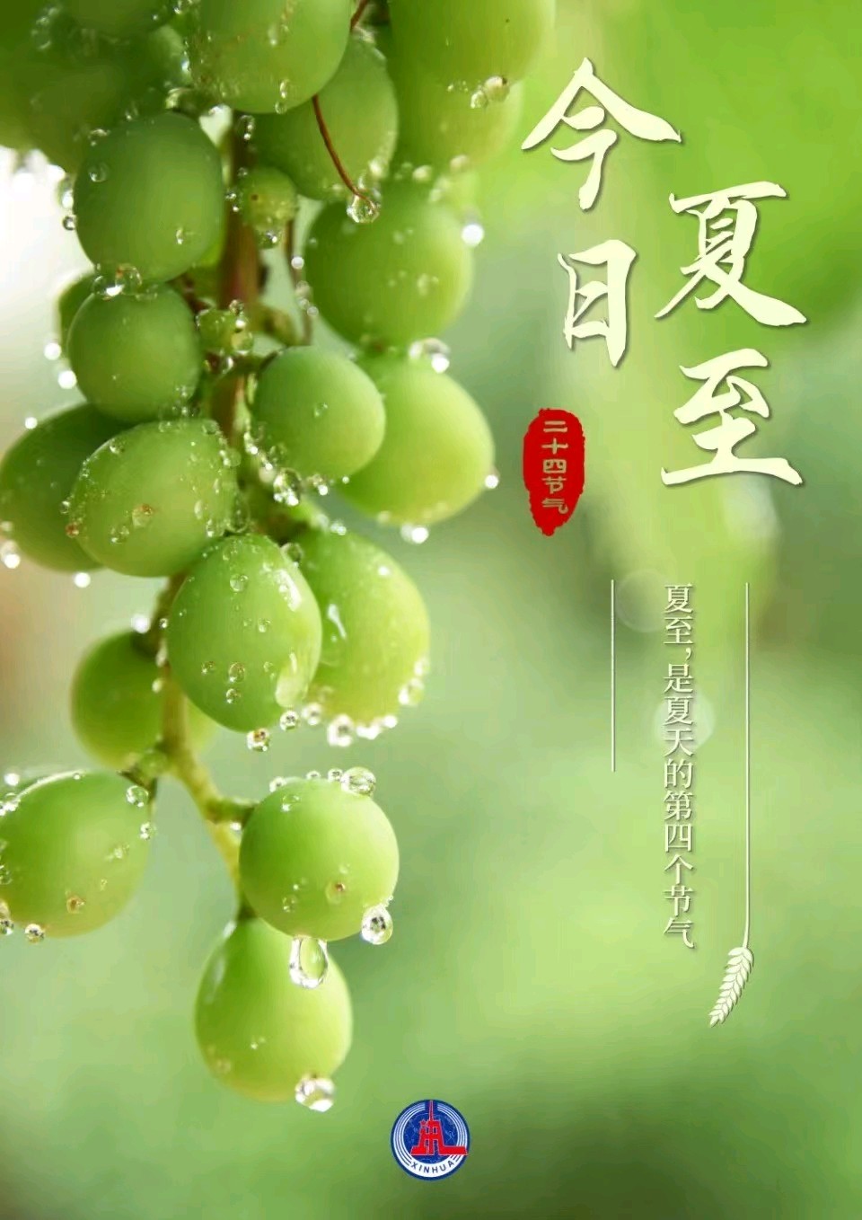 《九江文学社：北京头条》乙巳夏至专刊（图9）