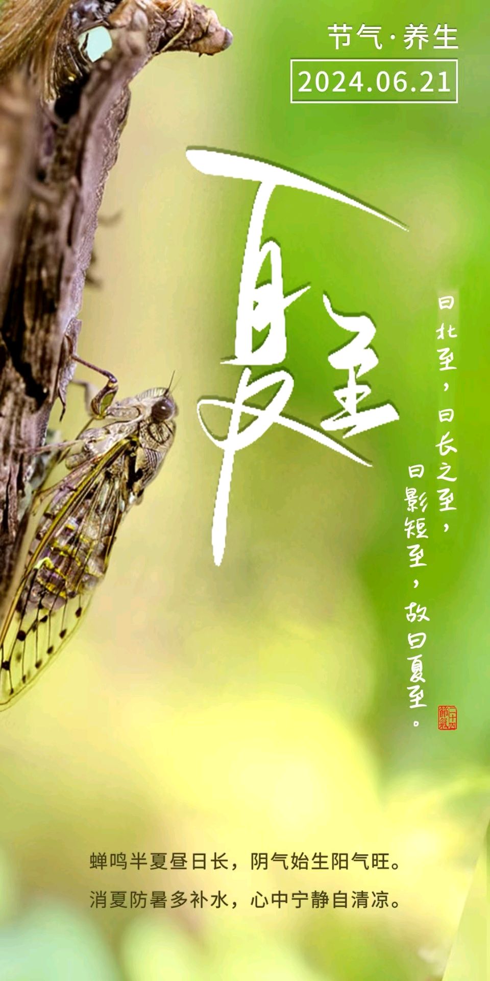 《九江文学社：北京头条》乙巳夏至专刊（图33）