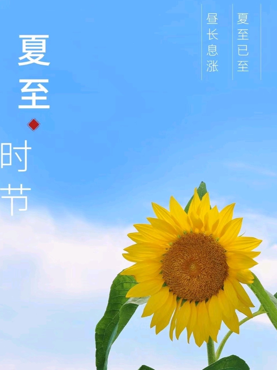 《九江文学社：北京头条》乙巳夏至专刊（图21）