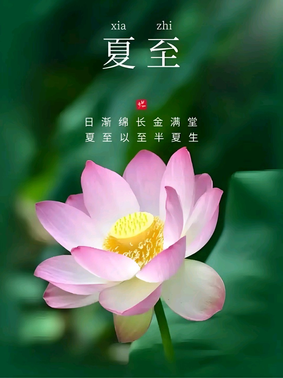 《九江文学社：北京头条》乙巳夏至专刊（图29）