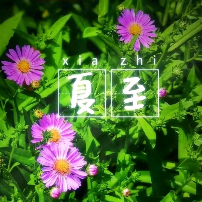 《九江文学社：北京头条》乙巳夏至专刊（图17）