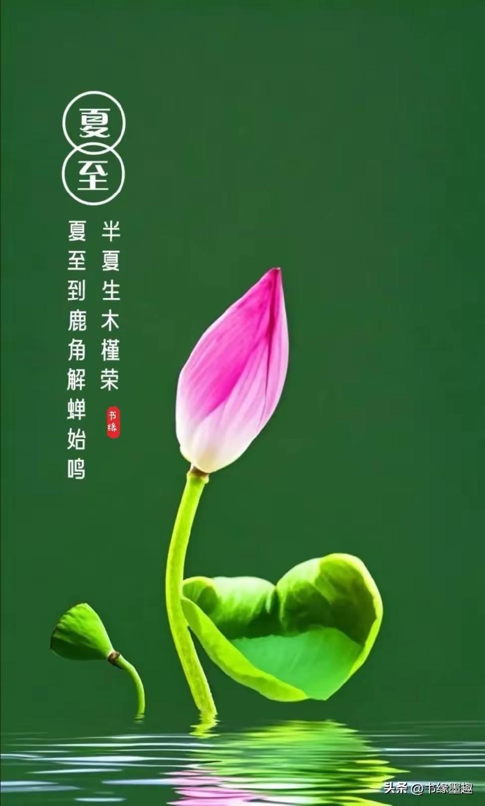 ［诗词吟乙巳夏至］作者：许碧霞/韩满林/冯清明/方立新……莲叶之珠文学社