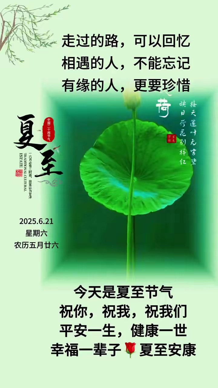 ［诗词吟乙巳夏至］作者：许碧霞/韩满林/冯清明/方立新……莲叶之珠文学社（图4）