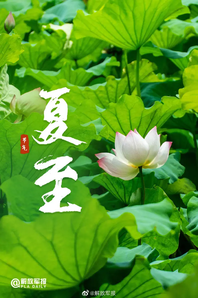 ［诗词吟乙巳夏至］作者：许碧霞/韩满林/冯清明/方立新……莲叶之珠文学社（图9）