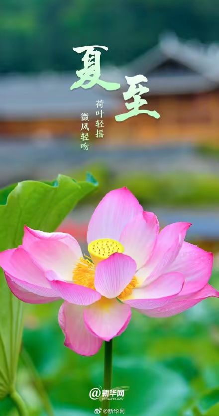 ［诗词吟乙巳夏至］作者：许碧霞/韩满林/冯清明/方立新……莲叶之珠文学社（图13）