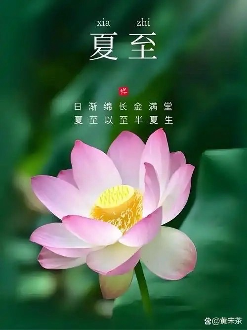 夏至（外一首）：作者 ||马喜军｜海外头条（图5）