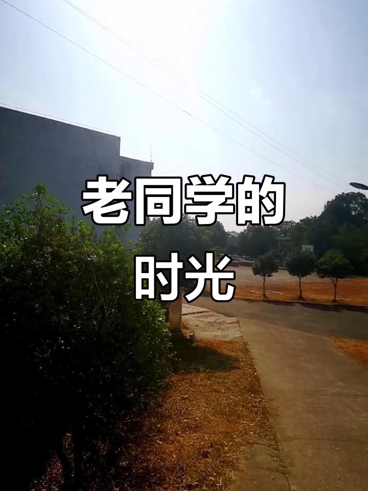 老同学没有血缘的至亲：文 || 惜缘｜海外头条（图5）