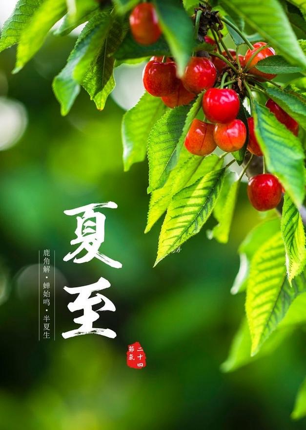 🌹夏至天地交响曲🌹众诗人/评：江花（北京）【世界诗歌研究院】世界诗人名人展13858期（图6）