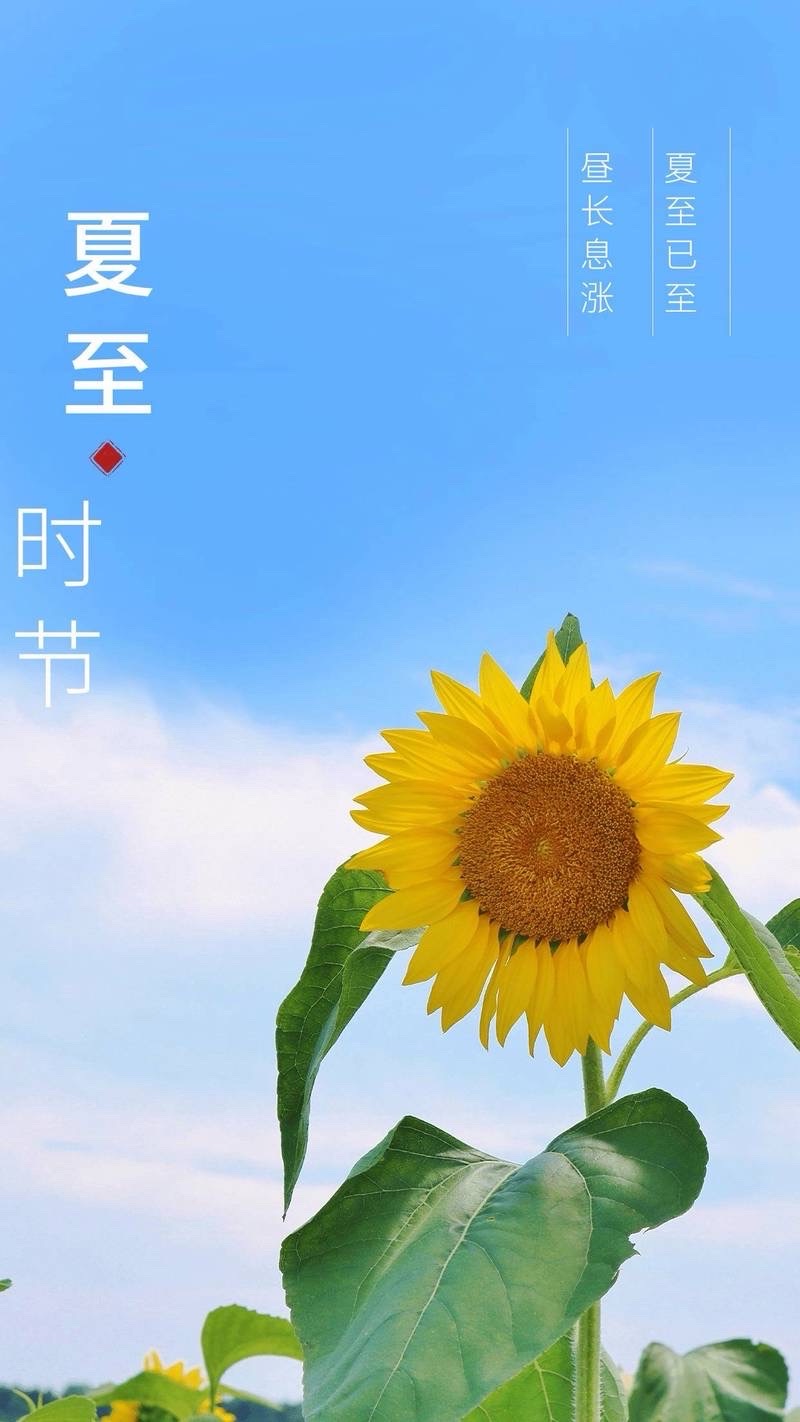 🌹夏至天地交响曲🌹众诗人/评：江花（北京）【世界诗歌研究院】世界诗人名人展13858期（图3）