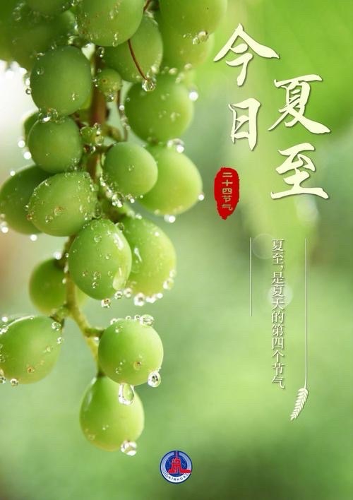 🌹夏至天地交响曲🌹众诗人/评：江花（北京）【世界诗歌研究院】世界诗人名人展13858期（图8）