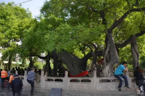 七律·自感（文/张华兴）……莲叶之珠文学社（图4）