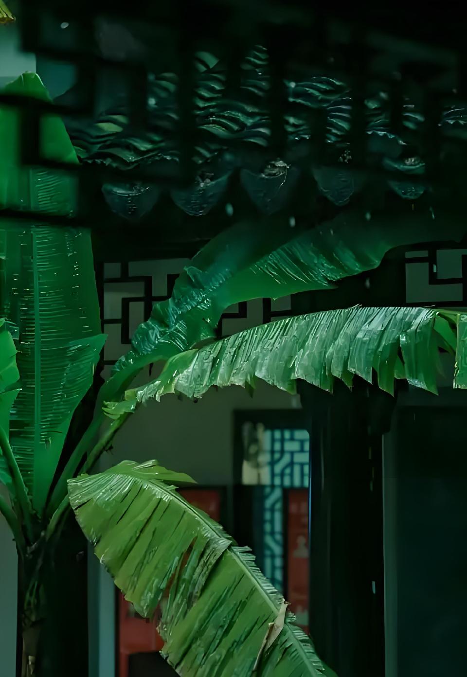 【情诗专栏】墨未干泪满天//作者/雨下罗加//朗诵/老菩提（图11）