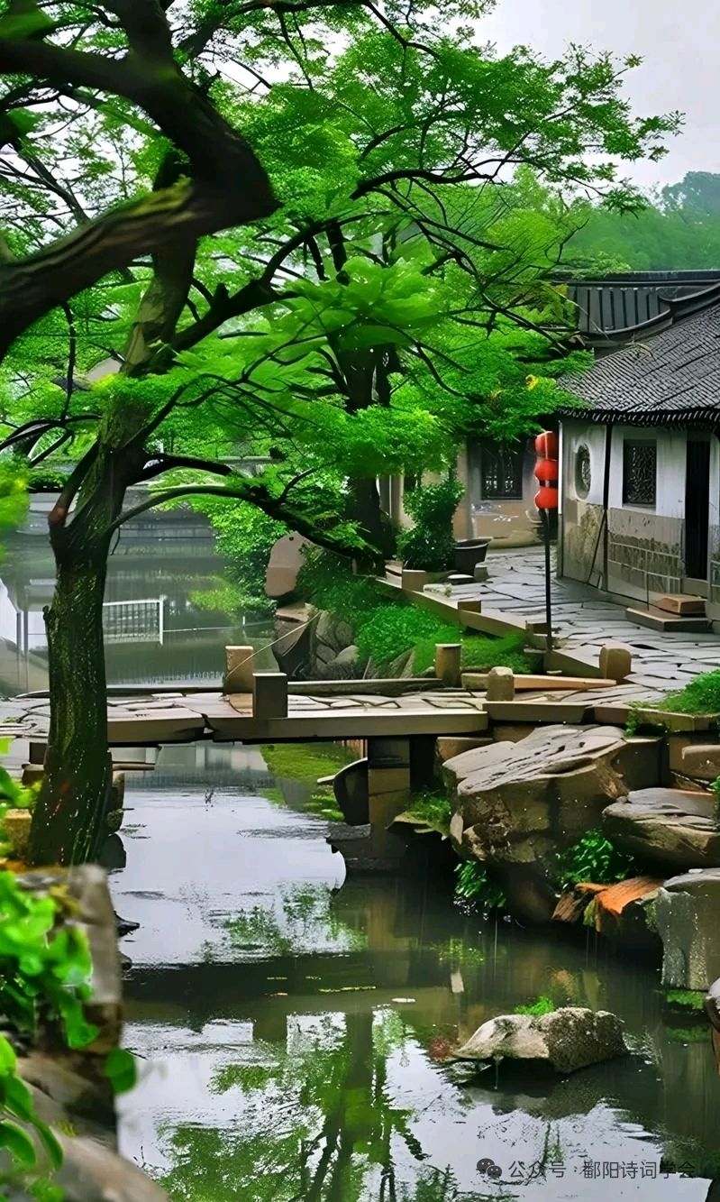 题图微诗一组《水乡》作者/正大光明（哈尔滨）