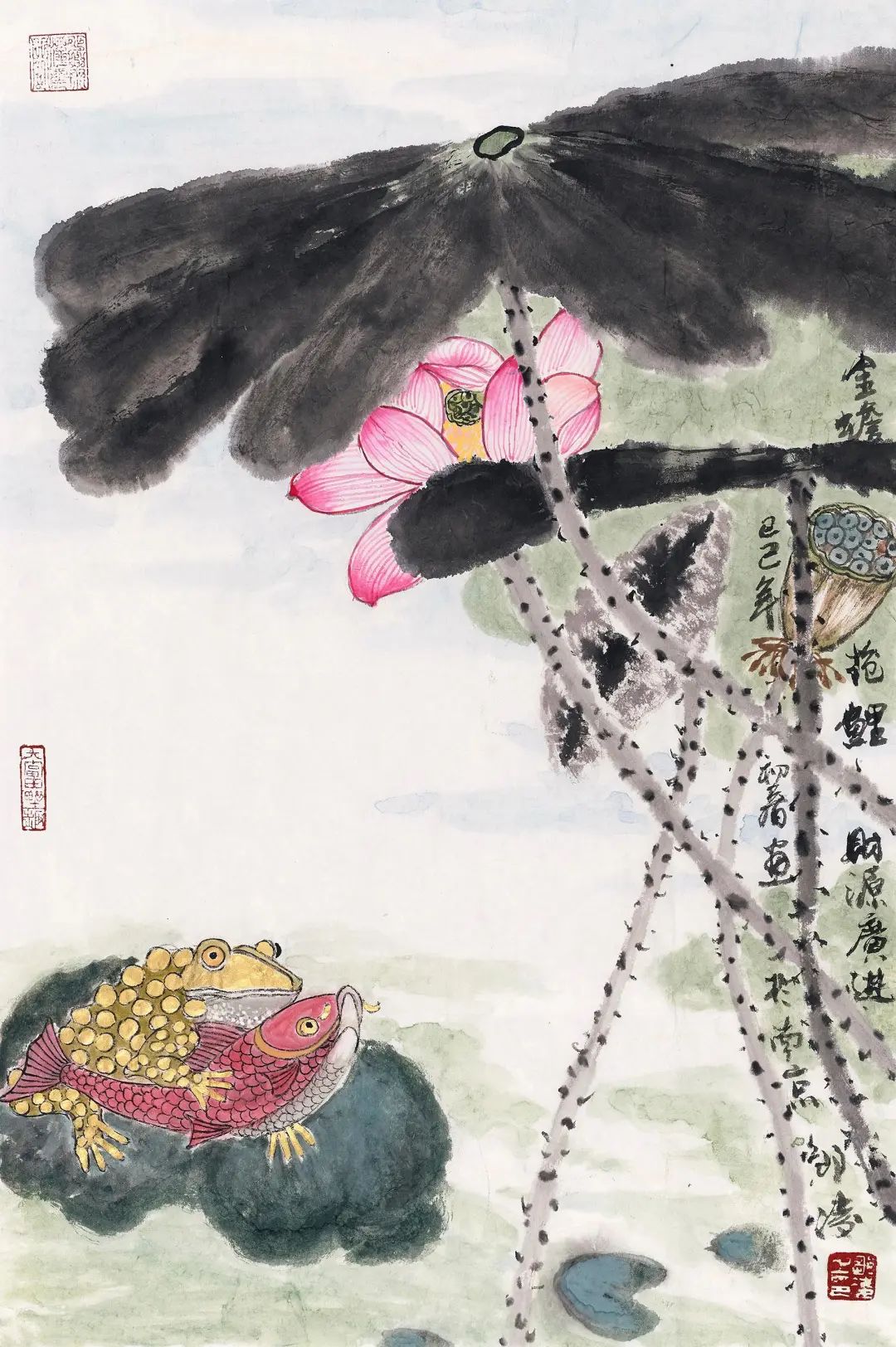图片