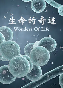 《龙游天下创作现代诗二首》作者：龙游天下 [中国现代诗歌文化传媒推荐]（图5）