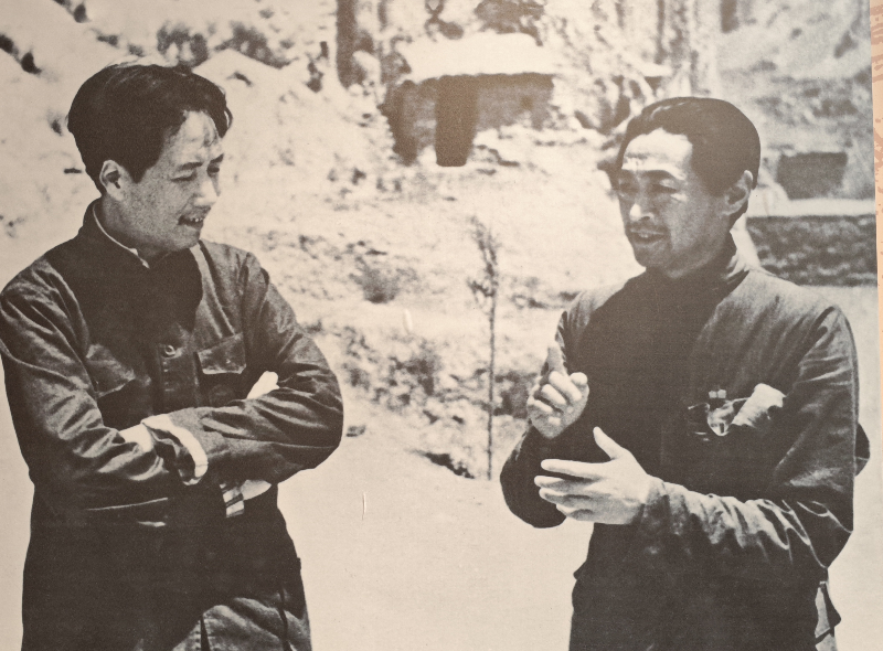 图片2 图片2