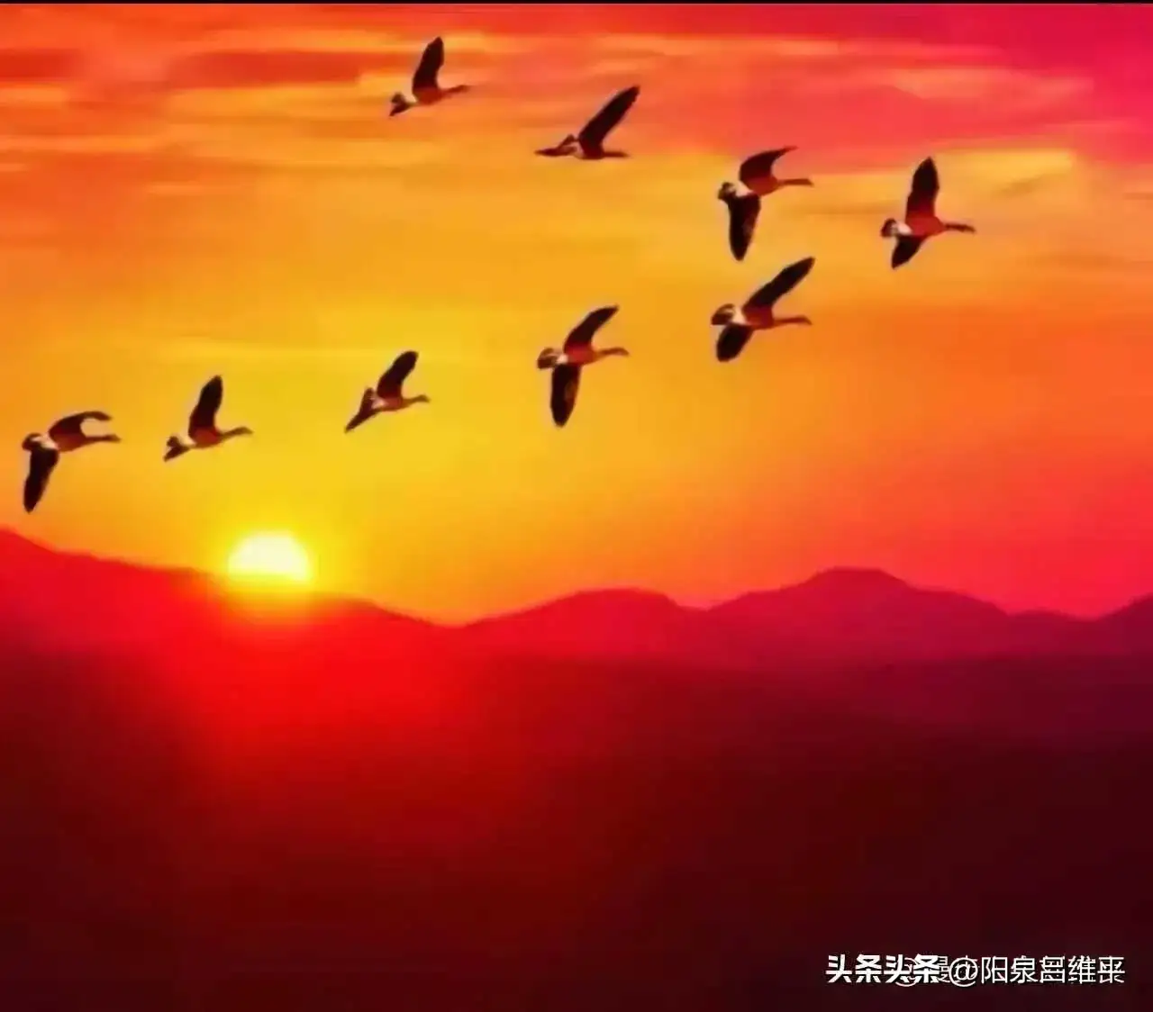 《刘文波著名现代诗人创作古诗七律二首》作者：刘文波 [中国现代诗歌文化传媒推荐]（图6）